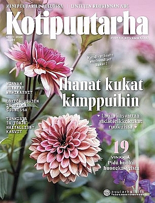 KOTIPUUTARHA